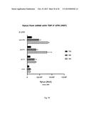 ARTIFICIAL NUCLEIC ACID MOLECULES COMPRISING A 5 TOP UTR diagram and image