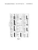 CD4+ T Survivin Epitopes and Uses Thereof diagram and image