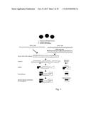 CORONAVIRUS, NUCLEIC ACID, PROTEIN, AND METHODS FOR THE GENERATION OF     VACCINE, MEDICAMENTS AND DIAGNOSTICS diagram and image