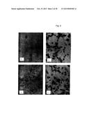 CORONAVIRUS, NUCLEIC ACID, PROTEIN, AND METHODS FOR THE GENERATION OF     VACCINE, MEDICAMENTS AND DIAGNOSTICS diagram and image