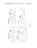 CORONAVIRUS, NUCLEIC ACID, PROTEIN, AND METHODS FOR THE GENERATION OF     VACCINE, MEDICAMENTS AND DIAGNOSTICS diagram and image