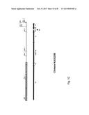 CORONAVIRUS, NUCLEIC ACID, PROTEIN, AND METHODS FOR THE GENERATION OF     VACCINE, MEDICAMENTS AND DIAGNOSTICS diagram and image