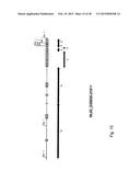 CORONAVIRUS, NUCLEIC ACID, PROTEIN, AND METHODS FOR THE GENERATION OF     VACCINE, MEDICAMENTS AND DIAGNOSTICS diagram and image