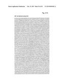 CORONAVIRUS, NUCLEIC ACID, PROTEIN, AND METHODS FOR THE GENERATION OF     VACCINE, MEDICAMENTS AND DIAGNOSTICS diagram and image