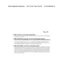 CORONAVIRUS, NUCLEIC ACID, PROTEIN, AND METHODS FOR THE GENERATION OF     VACCINE, MEDICAMENTS AND DIAGNOSTICS diagram and image