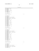 METHODS AND COMPOSITIONS FOR RNAI-BASED CANCER TREATMENT diagram and image