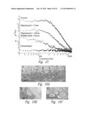 COMPOSITIONS AND METHODS FOR UPREGULATING HIPPOCAMPAL PLASTICITY AND     HIPPOCAMPUS-DEPENDENT LEARNING AND MEMORY diagram and image