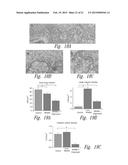 COMPOSITIONS AND METHODS FOR UPREGULATING HIPPOCAMPAL PLASTICITY AND     HIPPOCAMPUS-DEPENDENT LEARNING AND MEMORY diagram and image