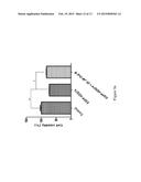 Novel autophagy enhancer for treatment of neurodegenerative diseases diagram and image