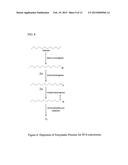 Enzyme Catalyzed Oxidation of Hydrocarbons diagram and image