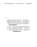 MOLECULAR METHOD FOR UNIVERSAL DETECTION OF CITRUS VIROIDS diagram and image