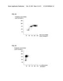 BLOOD ANALYZER, BLOOD ANALYSIS METHOD, HEMOLYTIC AGENT AND STAINING AGENT diagram and image