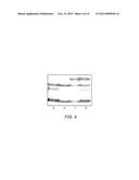 Methods and Reagents for Treatment and Diagnosis of Vascular Disorders and     Age-Related Macular Degeneration diagram and image