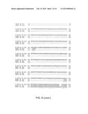 Methods and Reagents for Treatment and Diagnosis of Vascular Disorders and     Age-Related Macular Degeneration diagram and image