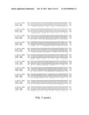 Methods and Reagents for Treatment and Diagnosis of Vascular Disorders and     Age-Related Macular Degeneration diagram and image