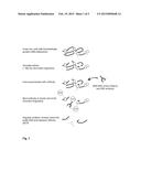 Synthetic DNA-Antibody Complex as External Reference for Chromatin     Immunoprecipitation diagram and image