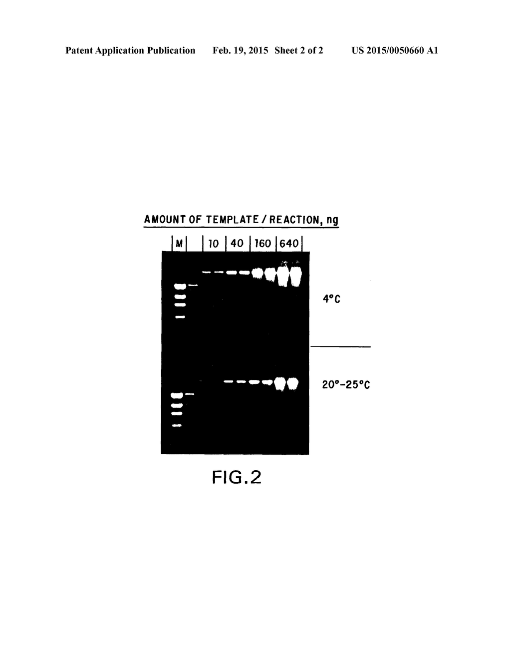 STABLE COMPOSITIONS FOR NUCLEIC ACID AMPLIFICATION AND SEQUENCING - diagram, schematic, and image 03