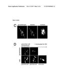 Optimal Gonadotropin Dosage diagram and image