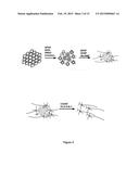 Cell-Surface Signatures for Isolating Neurons from Cell Cultures Derived     from Pluripotent Stem Cells diagram and image