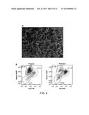 Cell-Surface Signatures for Isolating Neurons from Cell Cultures Derived     from Pluripotent Stem Cells diagram and image