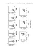 Cell-Surface Signatures for Isolating Neurons from Cell Cultures Derived     from Pluripotent Stem Cells diagram and image