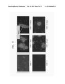 METHOD AND KIT FOR ISOLATING TARGET CELL diagram and image