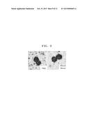 METHOD AND KIT FOR ISOLATING TARGET CELL diagram and image