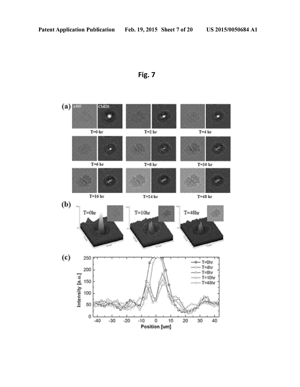 APPARATUS FOR MEASURING CELL ACTIVITY AND METHOD FOR ANALYZING CELL     ACTIVITY - diagram, schematic, and image 08