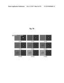 APPARATUS FOR MEASURING CELL ACTIVITY AND METHOD FOR ANALYZING CELL     ACTIVITY diagram and image