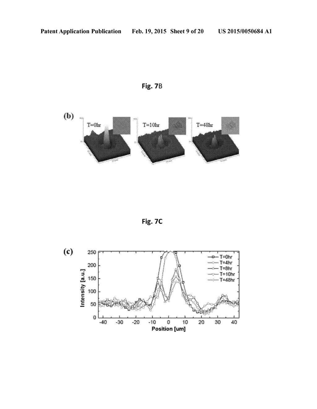 APPARATUS FOR MEASURING CELL ACTIVITY AND METHOD FOR ANALYZING CELL     ACTIVITY - diagram, schematic, and image 10