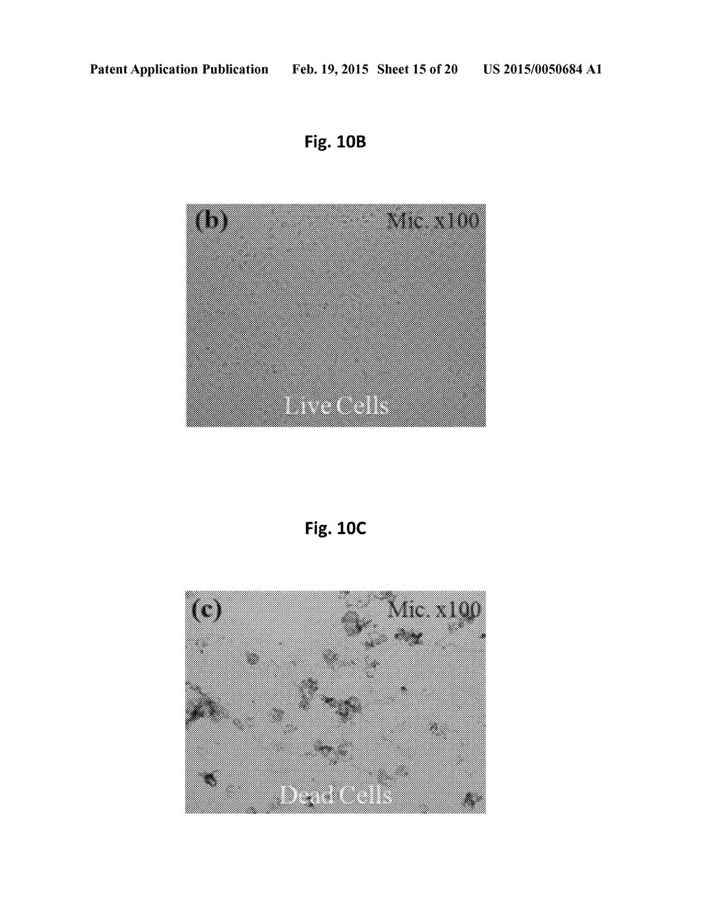 APPARATUS FOR MEASURING CELL ACTIVITY AND METHOD FOR ANALYZING CELL     ACTIVITY - diagram, schematic, and image 16