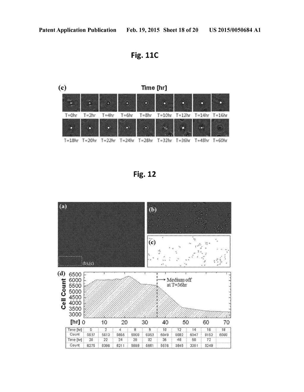 APPARATUS FOR MEASURING CELL ACTIVITY AND METHOD FOR ANALYZING CELL     ACTIVITY - diagram, schematic, and image 19