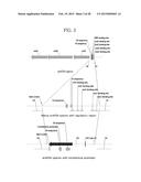 METHOD FOR PREPARING MUTANT ESCHERICHIA COLI CAPABLE OF SIMULTANEOUSLY     UTILIZING GLUCOSE AND XYLOSE diagram and image