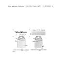 RNA-DIRECTED DNA CLEAVAGE BY THE Cas9-crRNA COMPLEX diagram and image