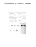 RNA-DIRECTED DNA CLEAVAGE BY THE Cas9-crRNA COMPLEX diagram and image