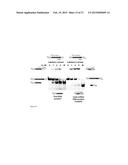 RNA-DIRECTED DNA CLEAVAGE BY THE Cas9-crRNA COMPLEX diagram and image