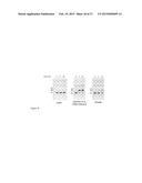 RNA-DIRECTED DNA CLEAVAGE BY THE Cas9-crRNA COMPLEX diagram and image