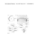 RNA-DIRECTED DNA CLEAVAGE BY THE Cas9-crRNA COMPLEX diagram and image