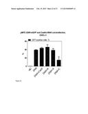 RNA-DIRECTED DNA CLEAVAGE BY THE Cas9-crRNA COMPLEX diagram and image