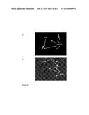 RNA-DIRECTED DNA CLEAVAGE BY THE Cas9-crRNA COMPLEX diagram and image