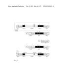 RNA-DIRECTED DNA CLEAVAGE BY THE Cas9-crRNA COMPLEX diagram and image