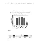 RNA-DIRECTED DNA CLEAVAGE BY THE Cas9-crRNA COMPLEX diagram and image