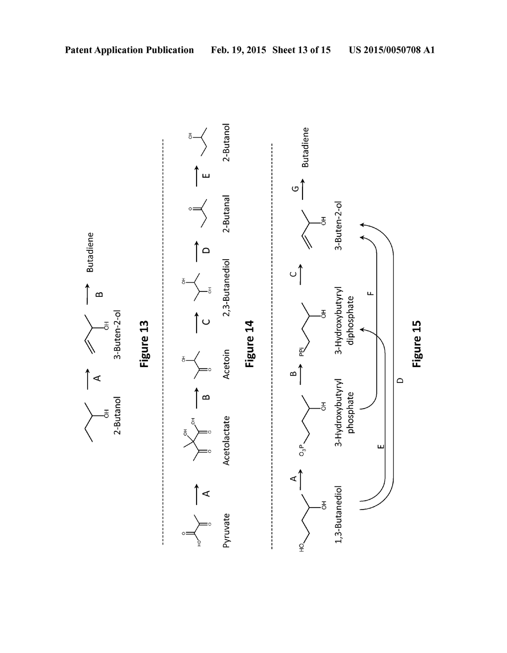 MICROORGANISMS AND METHODS FOR PRODUCING BUTADIENE AND RELATED COMPOUNDS     BY FORMATE ASSIMILATION - diagram, schematic, and image 14