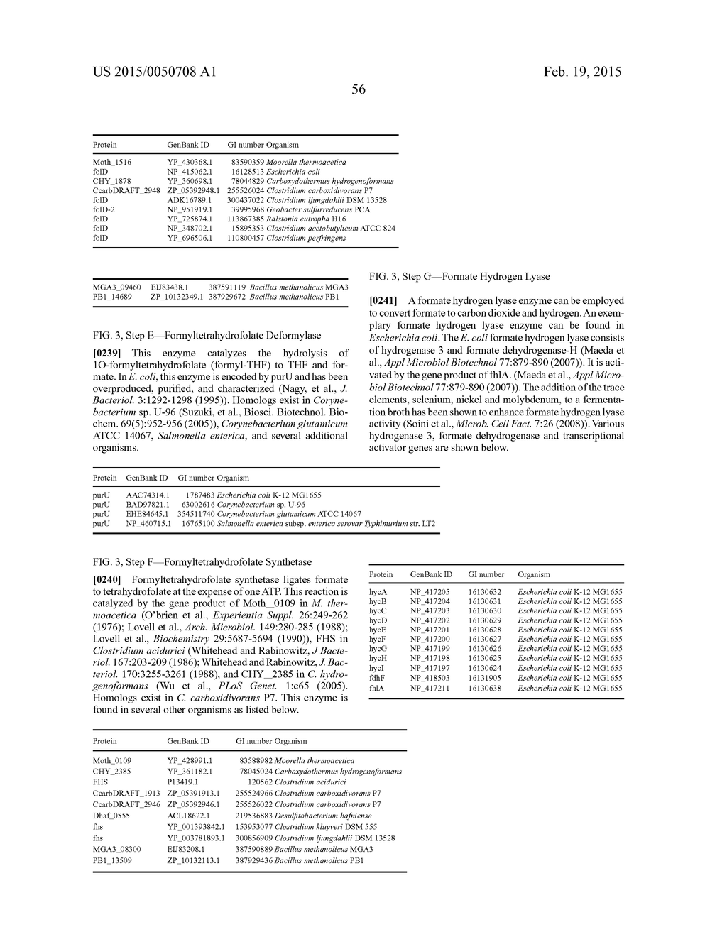 MICROORGANISMS AND METHODS FOR PRODUCING BUTADIENE AND RELATED COMPOUNDS     BY FORMATE ASSIMILATION - diagram, schematic, and image 72