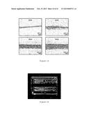 DEVICE FOR MANUFACTURING POLYMER FIBERS AND USES THEREOF diagram and image