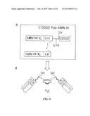 Stably Tethered Structures of Defined Compositions with Multiple Functions     or Binding Specificities diagram and image