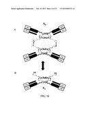 Stably Tethered Structures of Defined Compositions with Multiple Functions     or Binding Specificities diagram and image