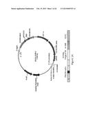 Compositions for Treatment of Cancer diagram and image