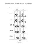 Compositions for Treatment of Cancer diagram and image