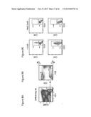 Compositions for Treatment of Cancer diagram and image